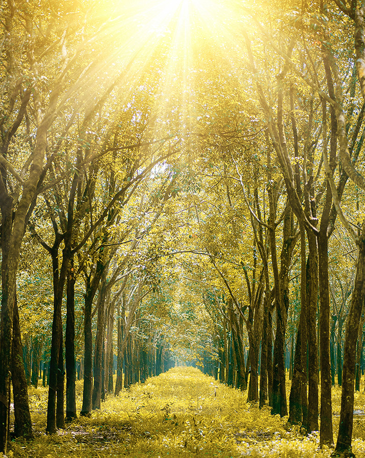 coaching de direction