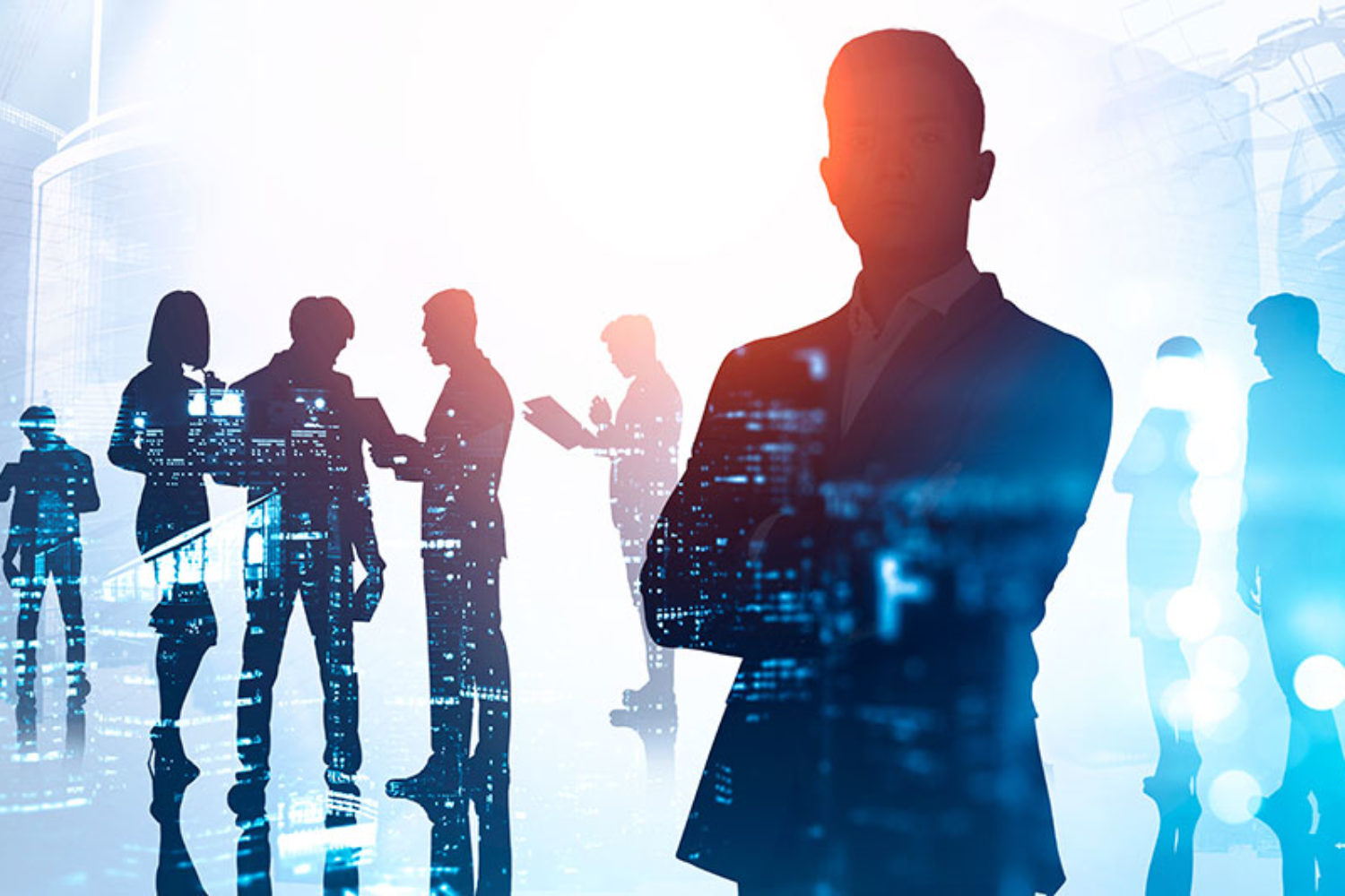 Conseil d'Administration