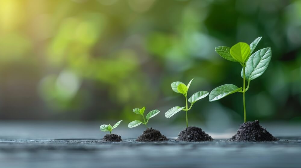 En quoi consiste le coaching de vie ?