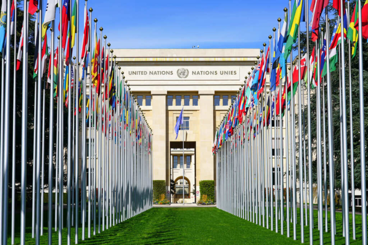 Transition de carrière ONU