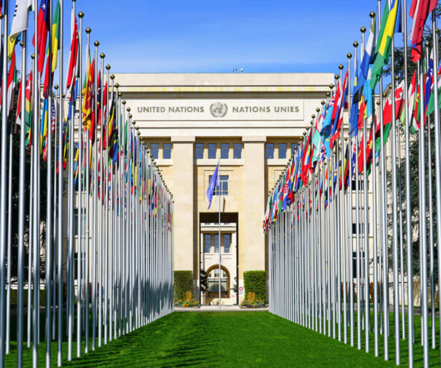 Transition de carrière ONU